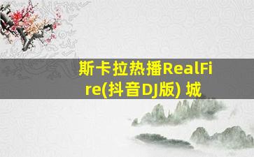 斯卡拉热播RealFire(抖音DJ版) 城